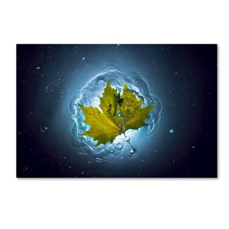 Trademark Fine Art Alexandar Lazarov 'Cosmic Autumn' Canvas Art, 12x19 1X02344-C1219GG